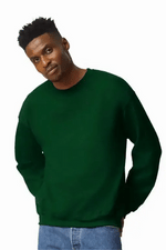 Men's sweatshirt