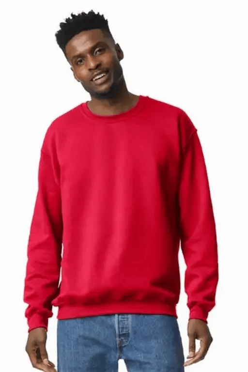 Men's sweatshirt